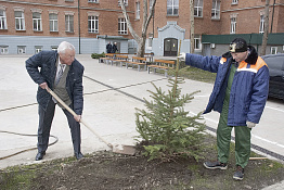 Посадка ёлок во внутреннем дворе университета  (21.02.2019)
